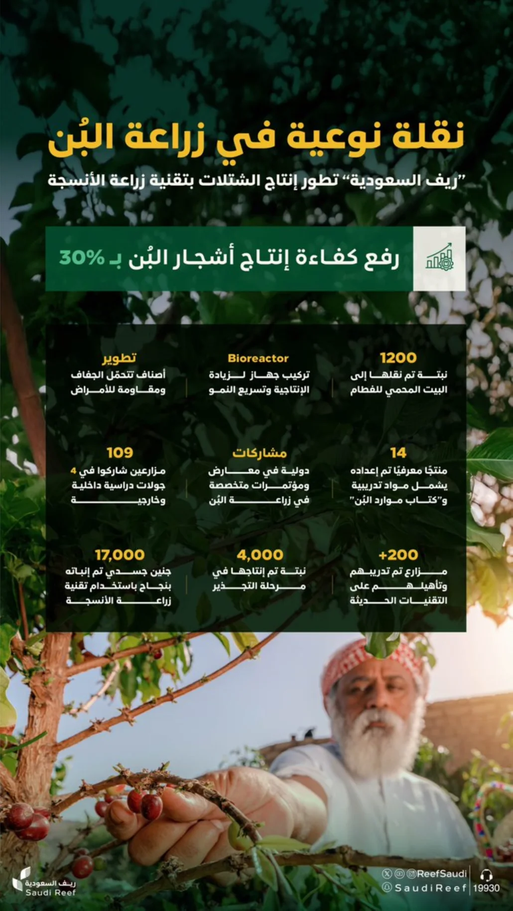 مشروع زراعة الأنسجة لأشجار البُن، حقق العديد من النتائج الملموسة