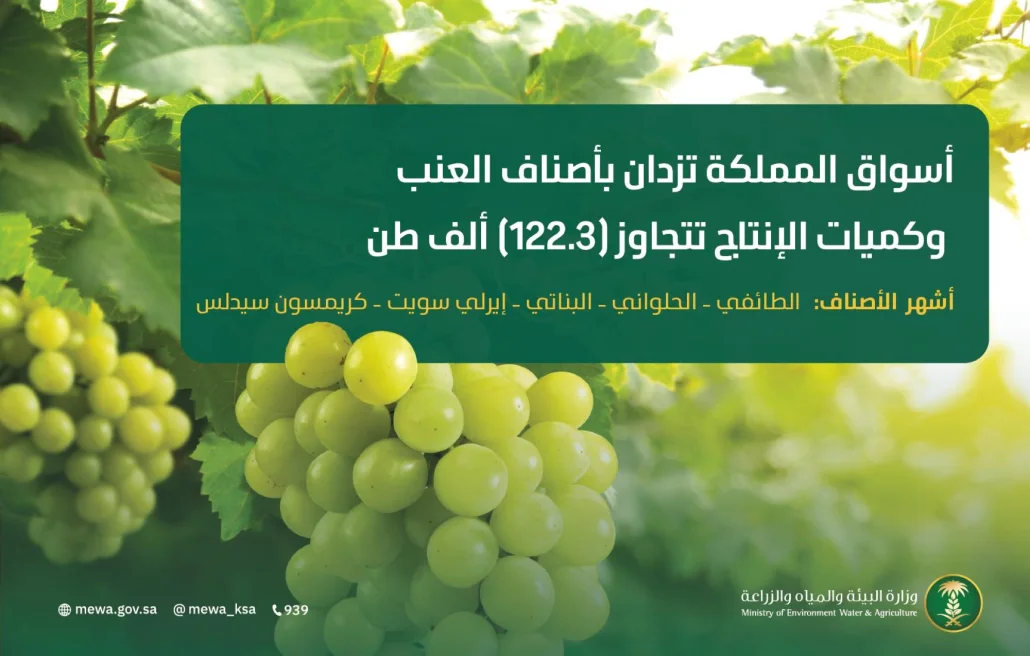 يتميز العنب باحتوائه على قيمة غذائية عالية