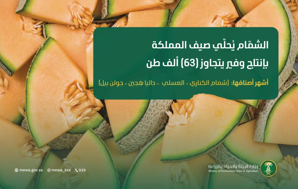 وزارة الزراعة تعمل على تقديم الدعم المالي للقطاعات الإنتاجية الحيوية