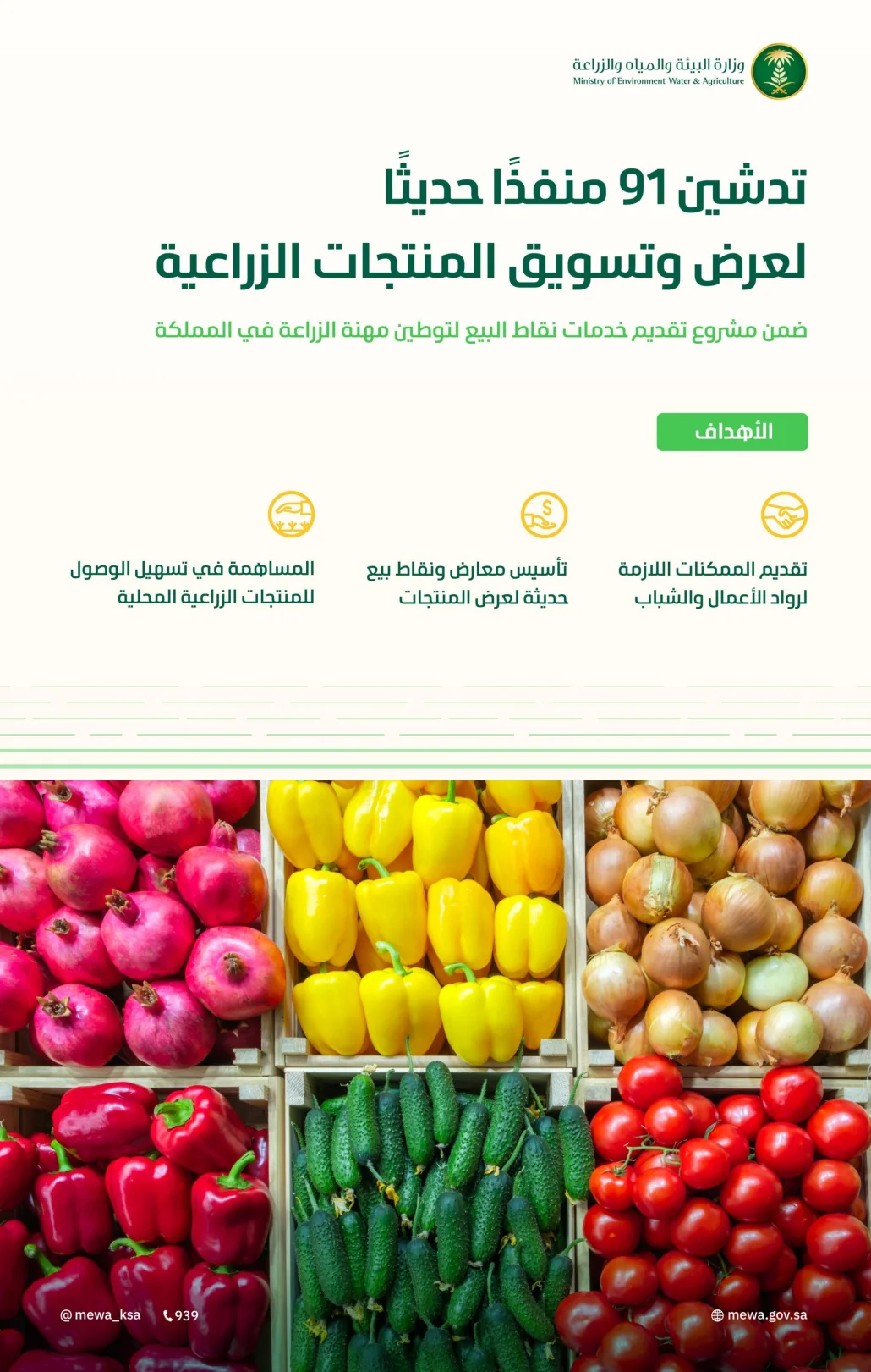 تدشين 91 منفذًا حديثًا لعرض وتسويق المنتجات الزراعية