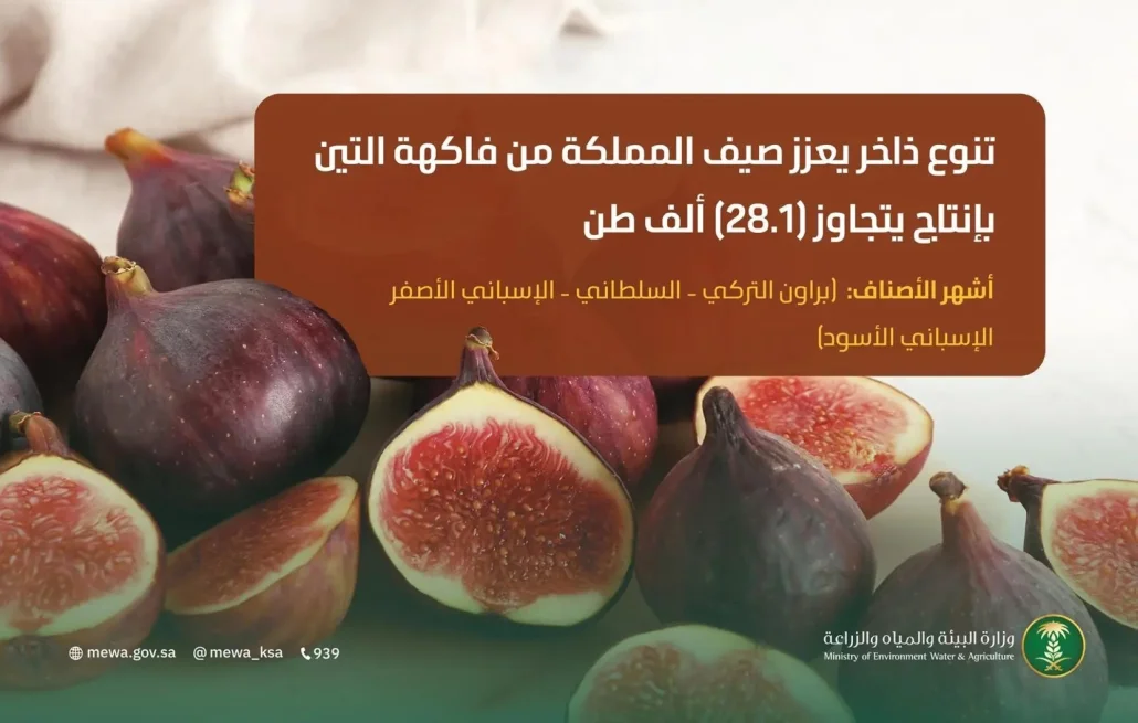 في مناطق جازان والرياض وعسير ومكة وحائل