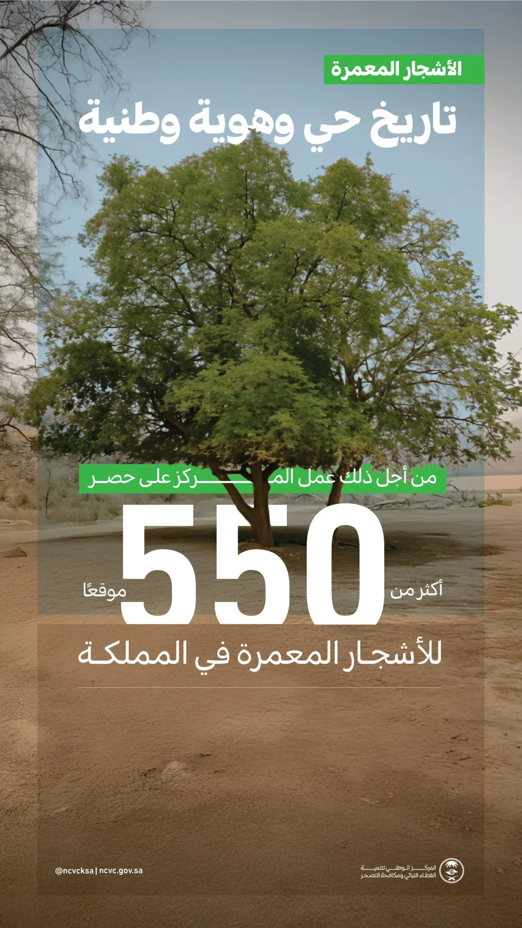 للمحافظة على الأشجار المعمرة وحمايتها