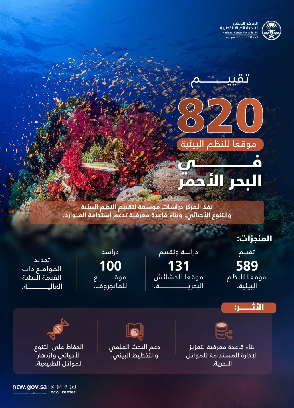 برامج استكشاف شاملة في البحر الأحمر