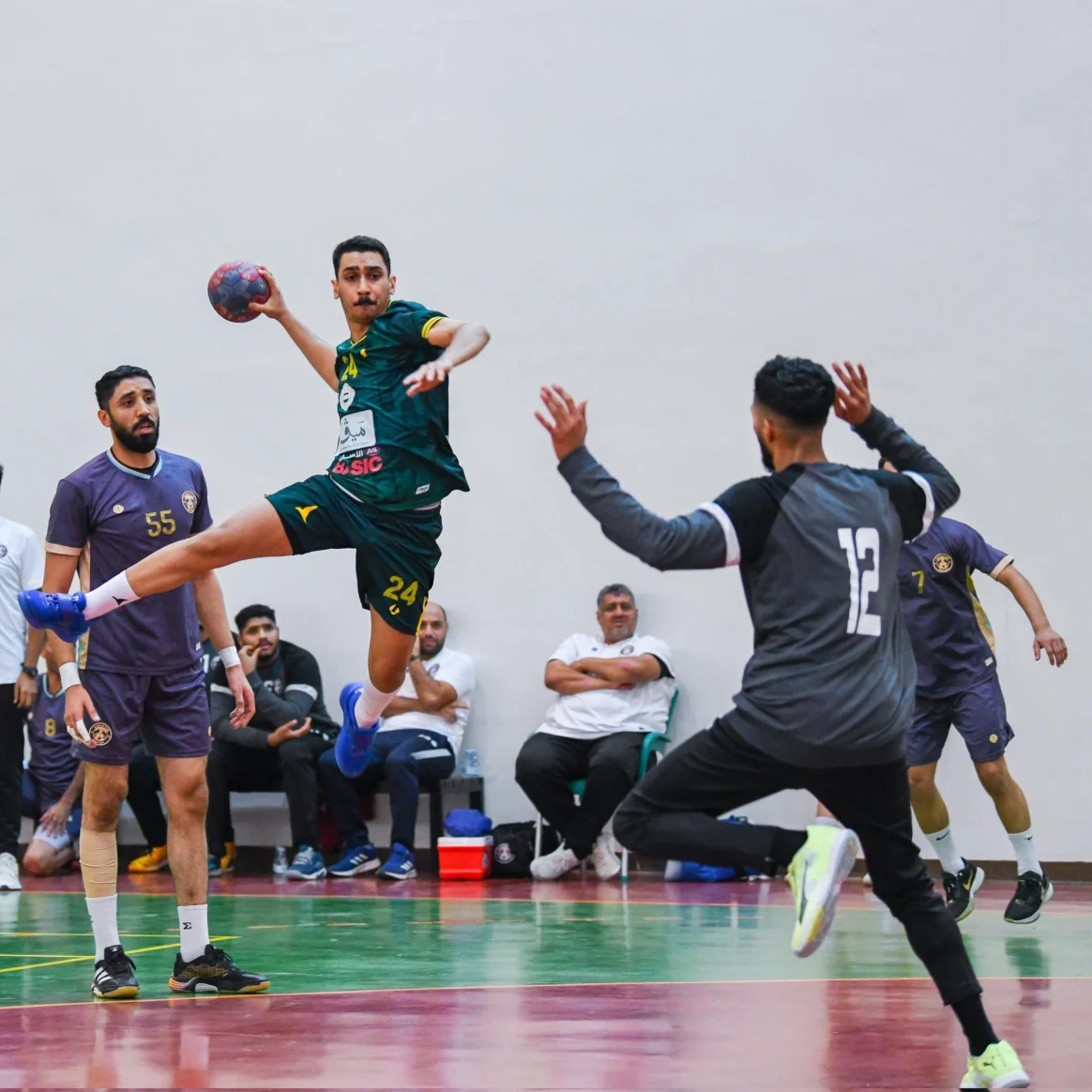 الدوري السعودي الممتاز لكرة اليد
