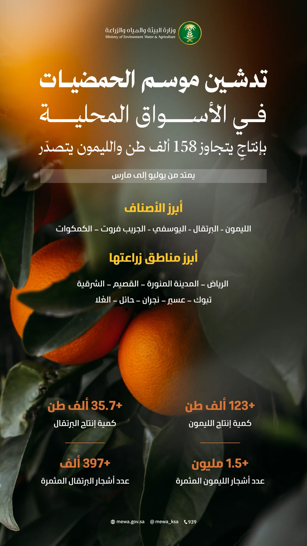 يبدأ الموسم في شهر يوليو ويستمر حتى شهر مارس من كل عام