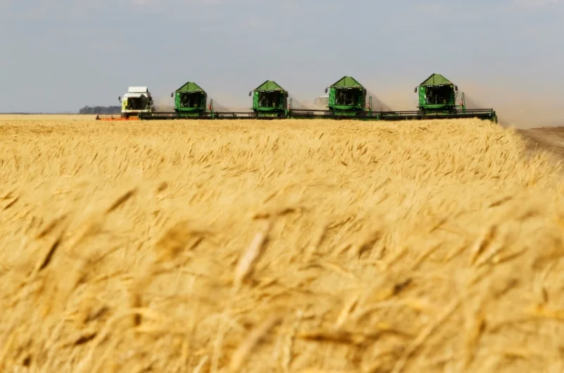 أثناء جمع حصاد القمح في إحدى الحقول بكازاخستان
