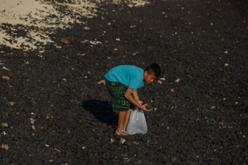 طفل يجمع الفحم المتناثر على شاطئ لوهينجا