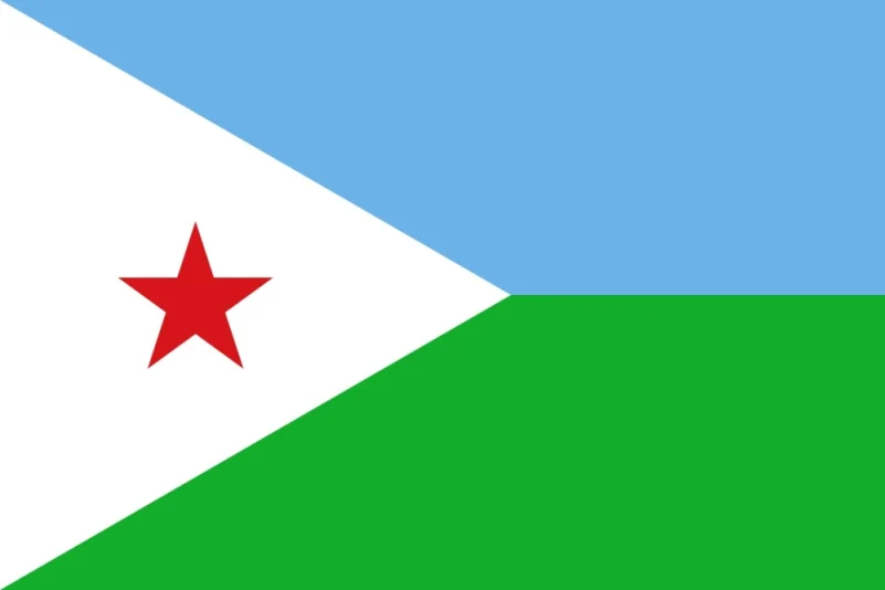 جيبوتي: المملكة حريصة على محاسبة المسؤولين عن الحادث