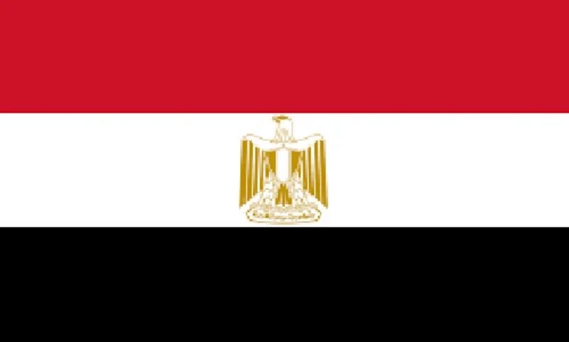 مصر: المملكة أكدت جديتها في إبراز الحقيقة