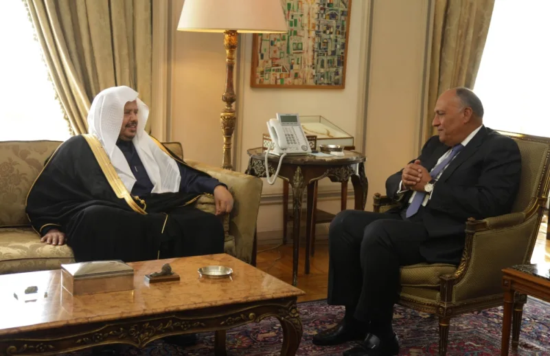 رئيس "الشورى" ووزير "خارجية مصر" يستعرضان الموضوعات ذات الاهتمام المشترك