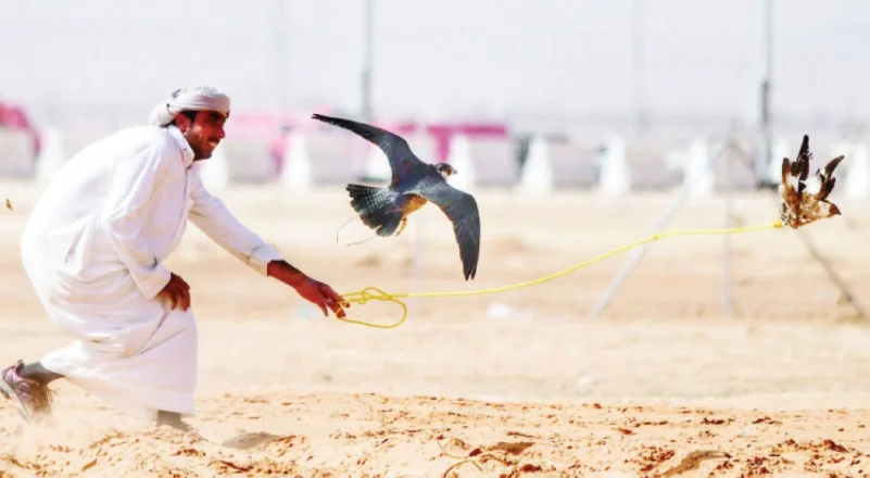 صقارو الإمارات الأوائل في مهرجان الملك عبدالعزيز
