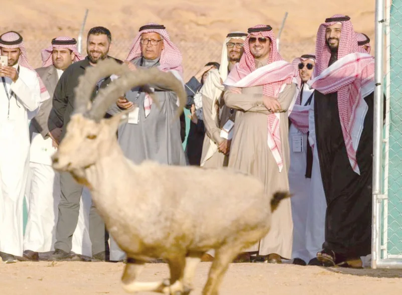 محمد بن سلمان يطلق «محمية شرعان الطبيعية» في محافظة العلا