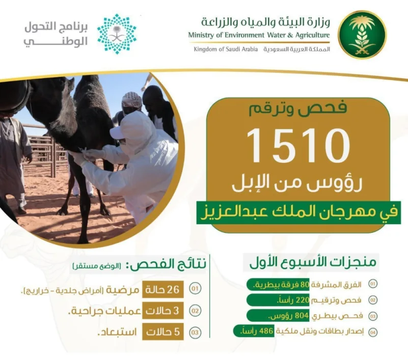 "البيئة" تفحص وترقّم 1500 رأس من الإبل خلال أسبوع بمهرجان الملك عبدالعزيز