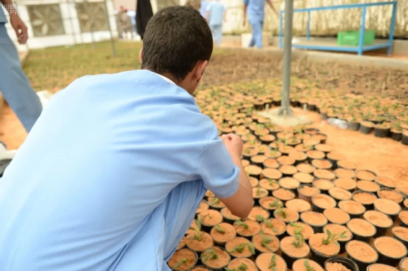 غرس 1000 شجرة مورينقا وسدر بإصلاحية الرياض