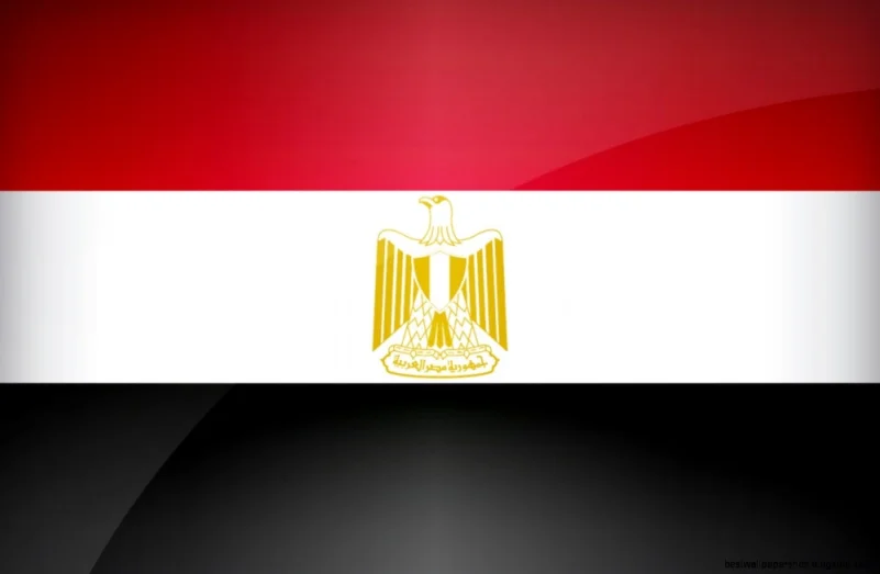 88.83% يوافقون على التعديلات الدستورية في مصر