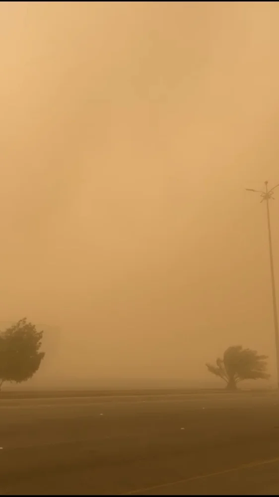 غبار كثيف يقتلع اللوحات ويتسبب في تلف سيارات بينبع