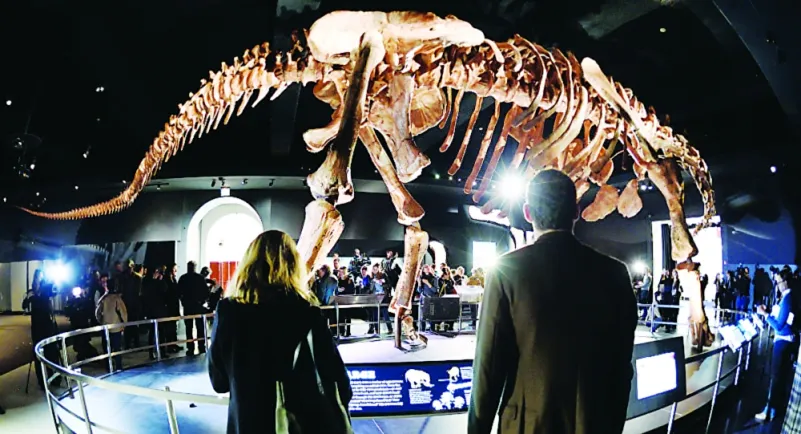 دبي تبيع هيكل ديناصور في مزاد علني