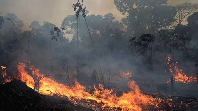 بعد كارثة حرائق الأمازون.. النيران تلتهم "رئة الأرض" الثانية