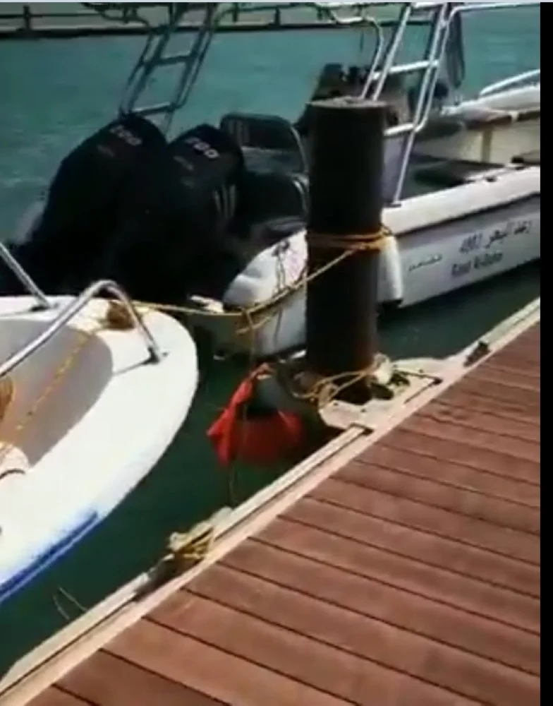 "البيئة" تشكل لجنة للوقوف على أضرار قوارب الصيادين في مرسى الرايس