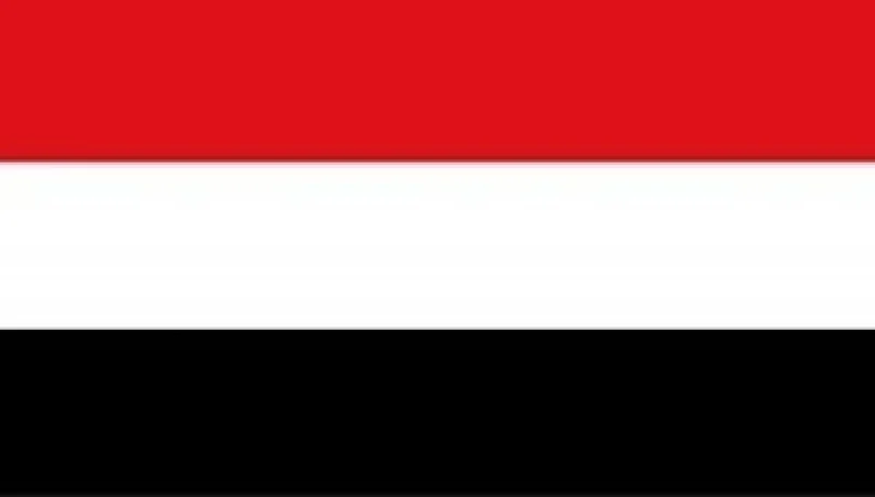 اليمن يندد بالتصريحات التركية حول عمليات تحالف دعم الشرعية وتصفها بـ (الاستفزازية)