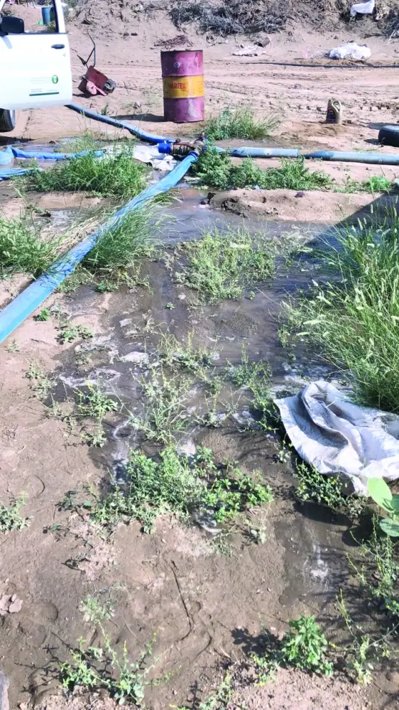 إزالة 6 مزارع «خضار» بمكة تسقى بمياه الصرف الصحي