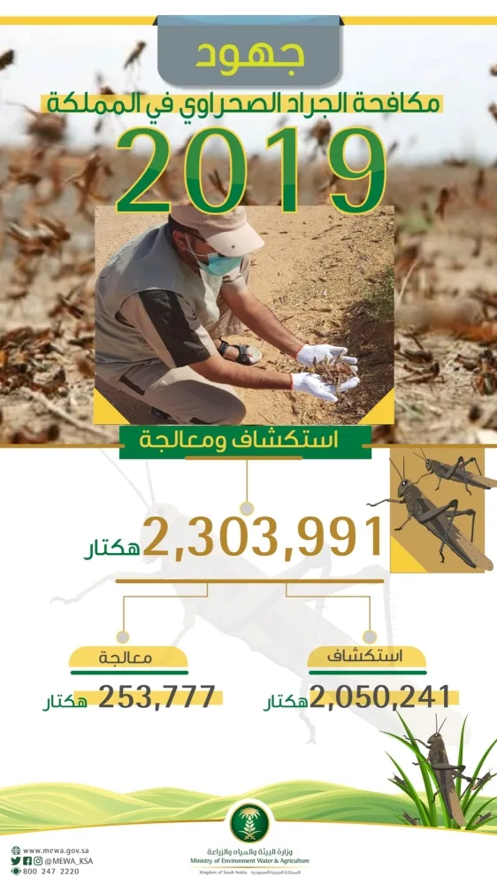"البيئة" تعالج 23685 هكتاراً من الجراد الصحراوي