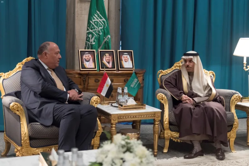 وزير الخارجية ونظيره المصري يبحثان تطوير العلاقات الثنائية
