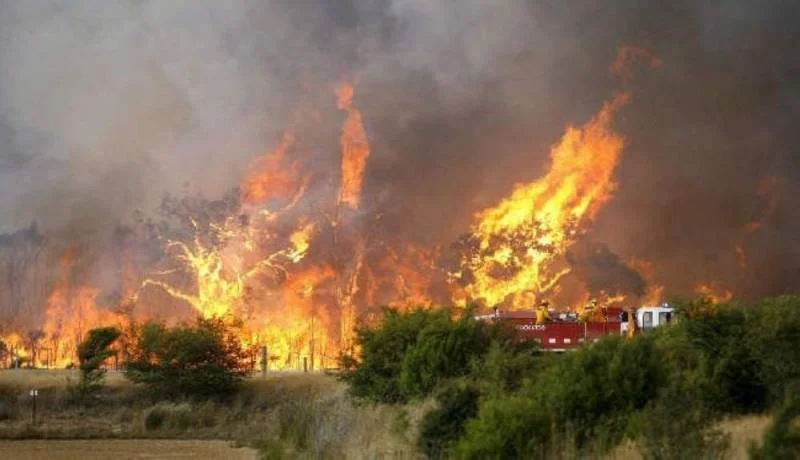 مصرع 8 أشخاص في حريق اندلع في ولاية ألاباما الأميركية