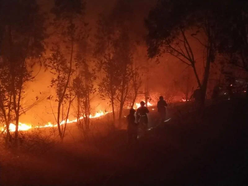 مصرع 19 شخصًا بسبب حرائق الغابات جنوب غربي الصين