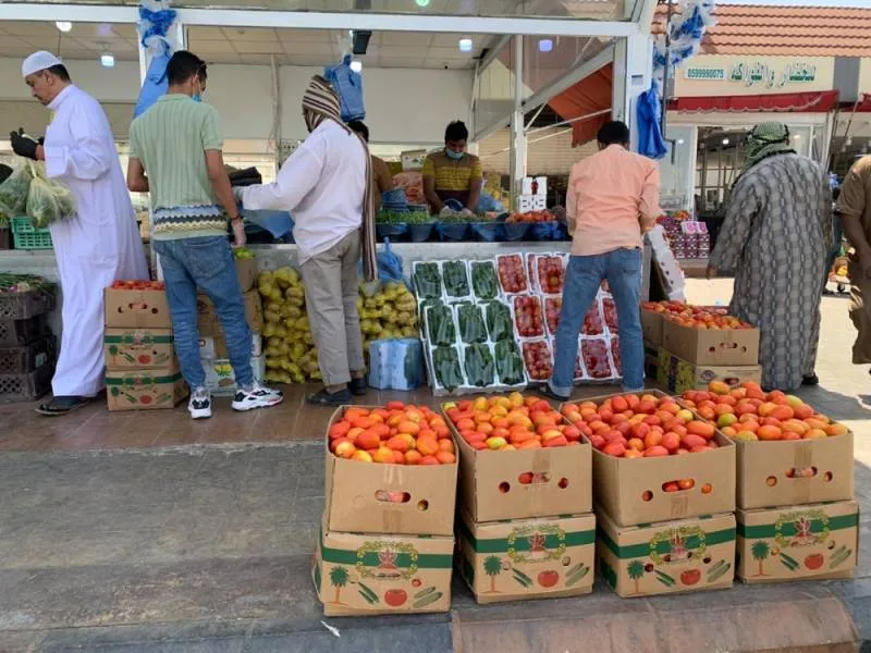 استقرار الأسعار في أسواق المدينة باستثناء الليمون والبرتقال