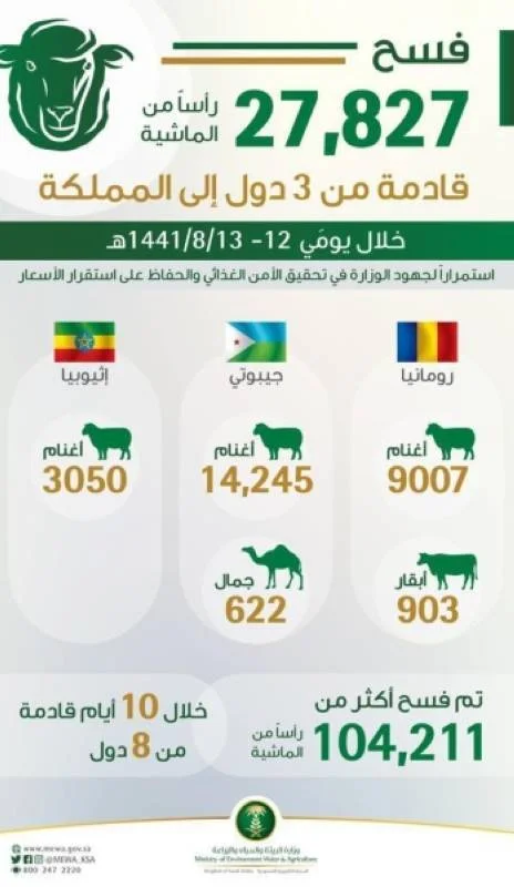 "البيئة": 27,827 رأسًا من المواشي تصل من رومانيا وإثيوبيا وجيبوتي إلى المملكة