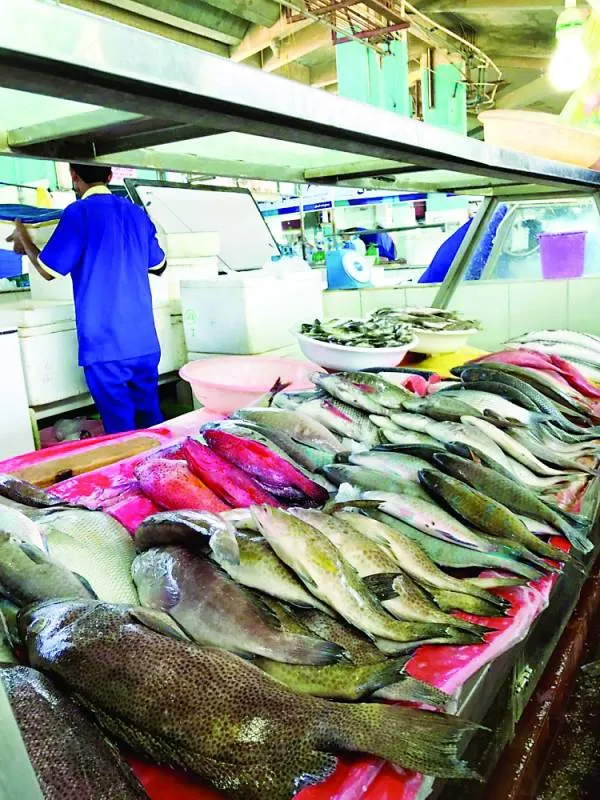 وفرة المعروض تهبط بأسعار الأسماك 10 %