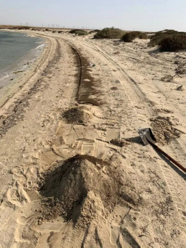 "السعودية للكهرباء" تزيل تلوثًا زيتيًا على شاطئ "الشعيبة"