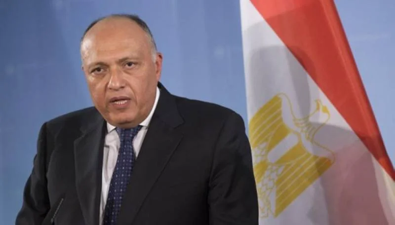 وزير خارجية مصر: سنضطر لبحث كل الخيارات بشأن "سد النهضة"