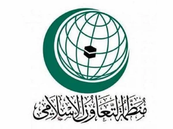 "التعاون الإسلامي" تدين إطلاق الميليشيا الحوثية صاروخ باليستي على نجران