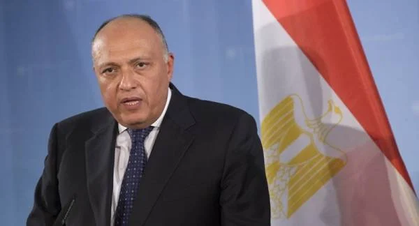 الخارجية المصرية: سنتخذ كل إجراء لمنع وقوع ليبيا تحت سيطرة الإرهابيين