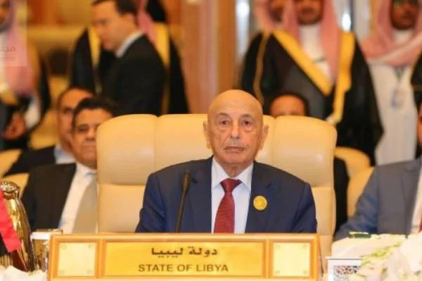 البرلمان الليبي: الشعب يطلب رسميا من مصر التدخل العسكري