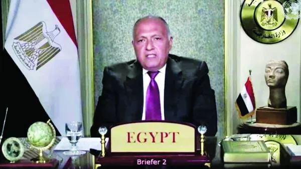 شكري أمام مجلس الأمن: مصر لن تقبل تهديد أمنها المائي