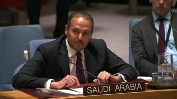 المملكة تعلن دعمها لترشح دولة الإمارات للعضوية غير الدائمة لمجلس الأمن