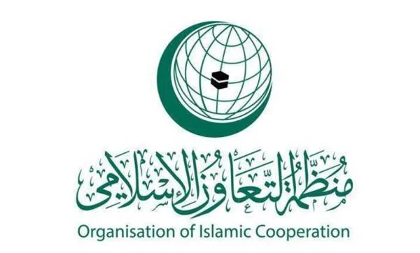 "التعاون الإسلامي" تدين إطلاق ميلشيا الحوثي طائرات "مفخخة" باتجاه المملكة