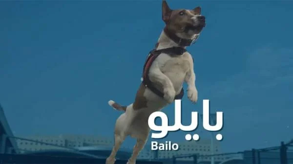 تعرّفوا على "بايلو Bailo" ومهامه في الجمارك السعودية
