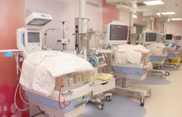 33 حالة ولادة بمستشفى الجوف في الأيام الثلاثة لعيد الأضحى