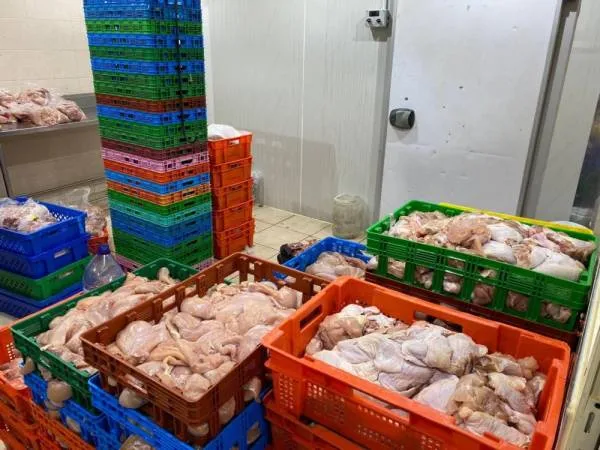بلدية القطيف: إغلاق معمل مخالف وإتلاف 3 آلاف كيلو دجاج فاسد