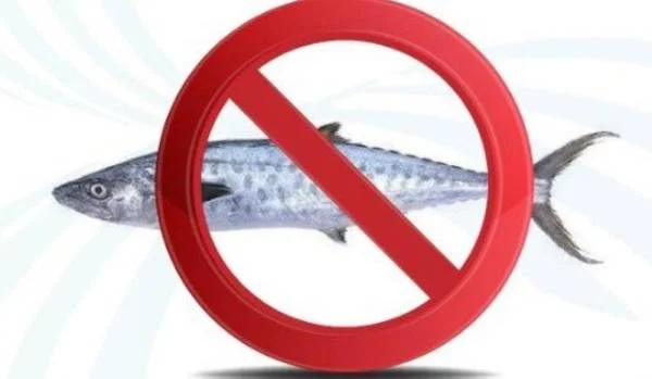 حظر صيد أسماك الكنعد ابتداءًا من الغد ولمدة شهرين