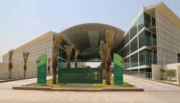 "البيئة" تعيد تأهيل 398 شجرة بالمدينة المنورة