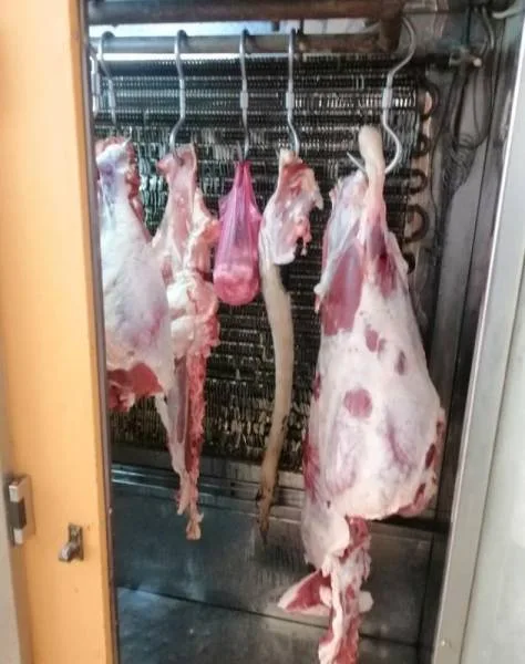 أمانة نجران تنفذ 210 جولات على المسالخ ومنافذ بيع اللحوم