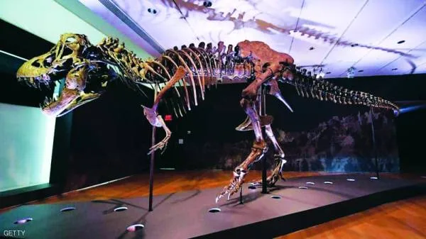 «هيكل ديناصور» للبيع بـ8 ملايين دولار