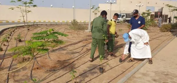 مبادرة لغرس 2020 شجرة في جدة احتفاء باليوم الوطني
