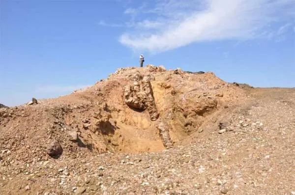 المساحة الجيولوجية توقع عقود مشاريع  المسح الجيولوجي .. غدًا في الرياض