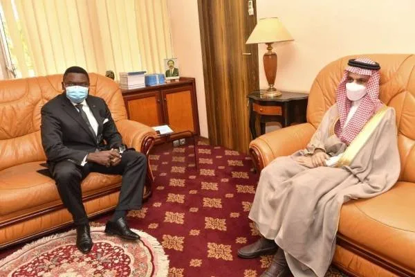 وزير الخارجية يبحث سبل التعاون  مع وزير العلاقات الخارجية الكاميروني